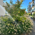 Umgebung Bluemepark